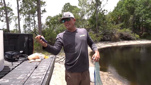 What lives in this little pond? {Let's find out!} Cast Netting 1000's of fish смотреть онлайн