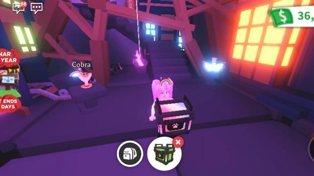 Adopt Me-Opening my 3 RGB BOXES смотреть онлайн