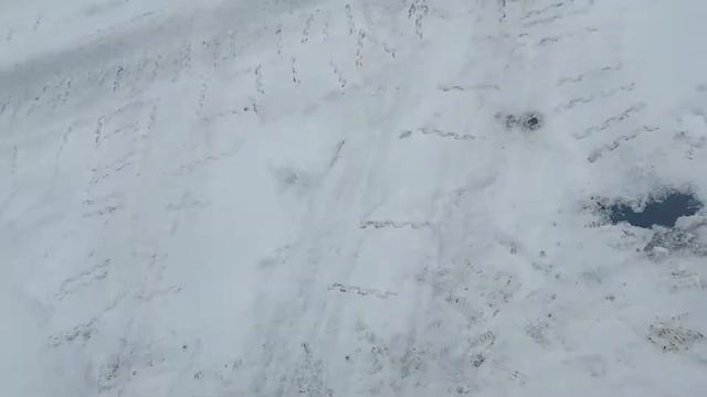 Контрактный двигатель Япония SUZUKI ALTO / Сузуки Альто / HA23S 684003 A/T 2wd 01г K6A 2267081 смотреть онлайн