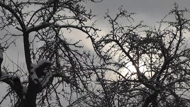 Panasonic SDX1 winter смотреть онлайн