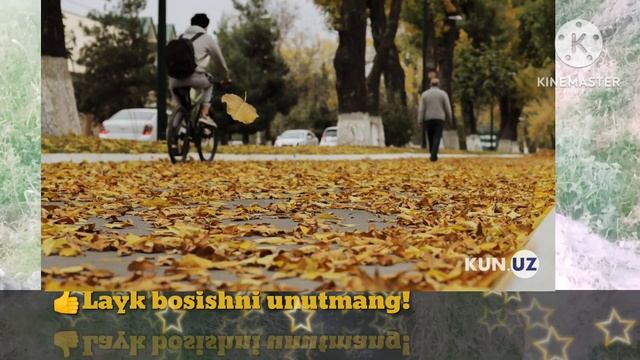 ШОШИЛИНЧ: 16-17- НОЯБИР УЗБЕКИСТОНДА КУЧЛИ ЙОМГИР ВА СЕЛ КЕЧ БУЛМАСДАН ОГОХ БУЛИНГ смотреть онлайн