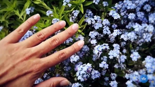 Gestalt de Fritz Perls смотреть онлайн