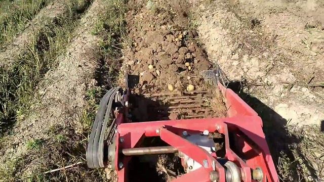 Картофеле копалка из Китая