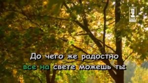 Детские   Всё На Свете Можешь Ты