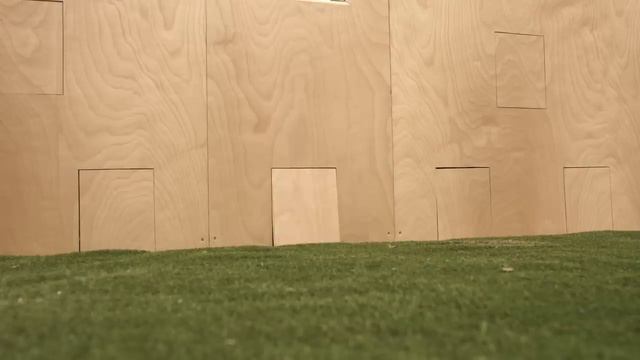 Kitten Therapy- The Prescription For Stress