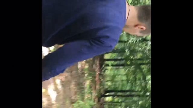 В лес по грибы (Польские грибники )Ornontowice Zabik 2019 смотреть онлайн