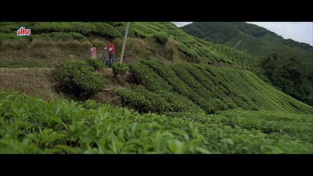 Dil Maange More Full 4K Movie - Shahid Kapoor - Ayesha Takia - Soha Ali Khan - Tulip Joshi смотреть онлайн