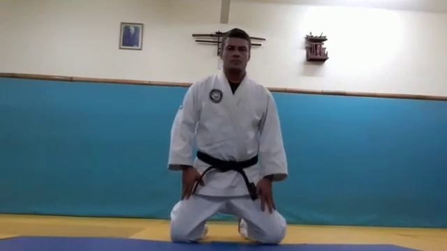 Dicas de Etiqueta pra ser um Judoca Perfeito смотреть онлайн