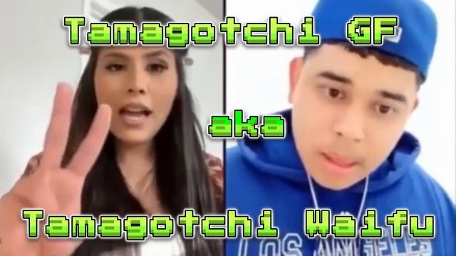 ВАЙФУ-ТАМАГОЧИ ТУПЕЙШИЙ ТРЕНД ЗАПАДНОГО ТИКТОК (делай с ней что хочешь) - NPC СТРИМЕРШИ смотреть онлайн