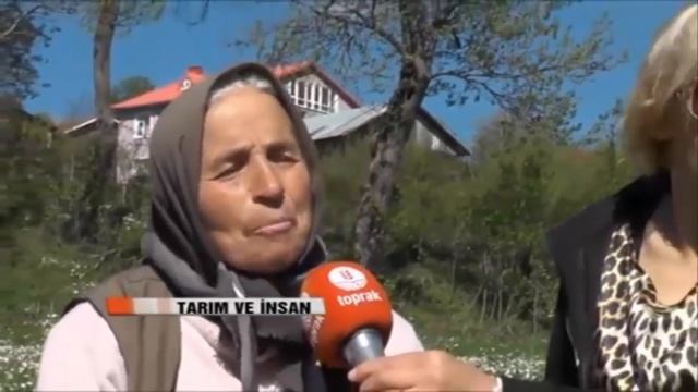 Mengen Düzağaç Köyünden Mengen türküsü смотреть онлайн