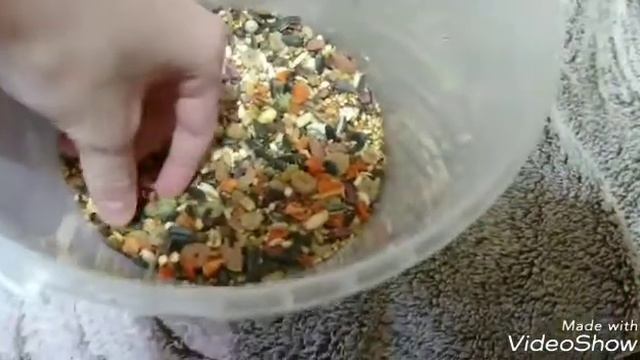 Какой должен быть корм для хомяка. смотреть онлайн