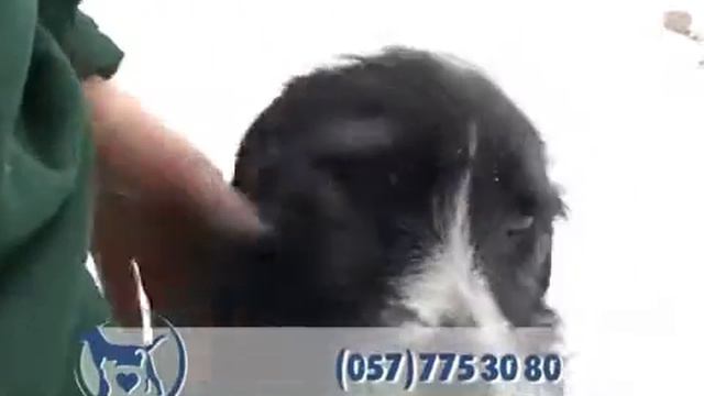 Чекаю на тебе, выпуск №108 смотреть онлайн