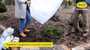 Мульчирование хвойных корой. Садовник на час: Серия 2.