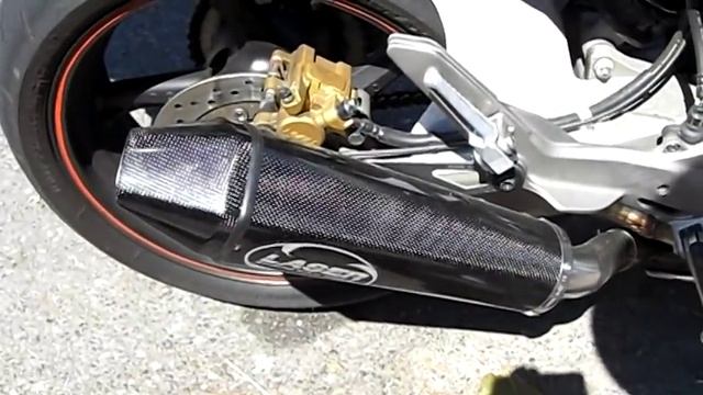 Laser Stealth Carbone exhaust Honda Hornet 2007-20008 смотреть онлайн
