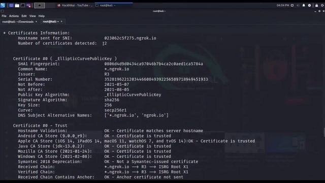 SSL Testing | Tool Demo testssl.sh, nmap, sslyze, sslscan| Find SSL Config Vulnerability | HackNika смотреть онлайн