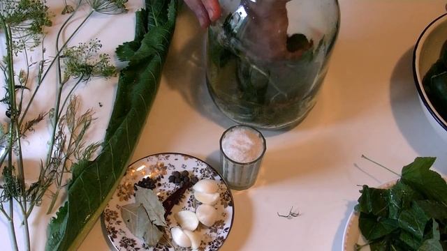 ОБЗОР ОТ ЛУЧШИХ И ПРОВЕРЕННЫХ