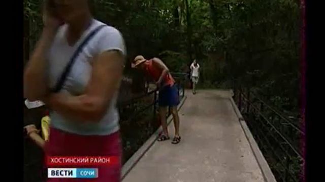 Дорога в Тиссо-самшитовой роще.mp4 смотреть онлайн