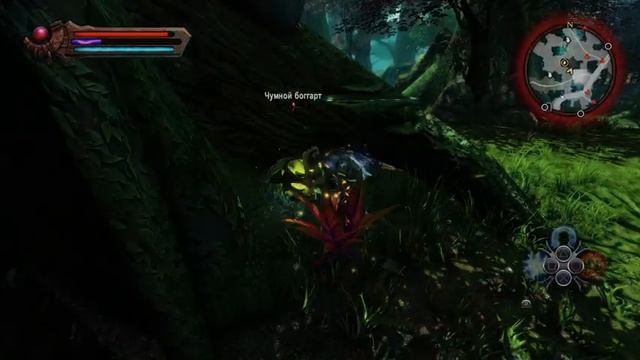 ОХОТА НА ОХОТНИКА ➤ Kingdoms of Amalur Re-Reckoning ➤ Прохождение #7 [РУССКАЯ ОЗВУЧКА] смотреть онлайн