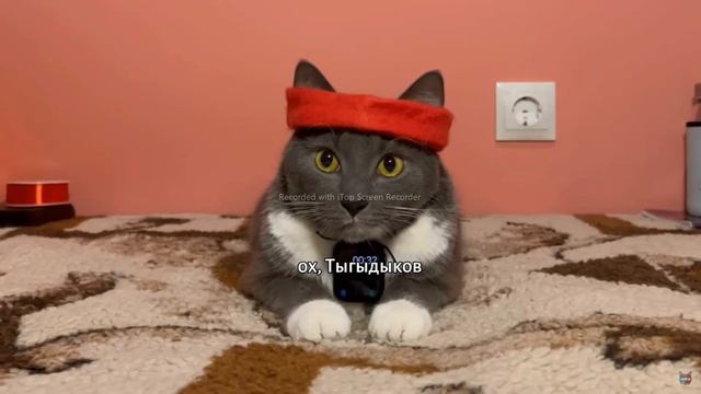 СБОРНИК ЕСЛИ БЫ КОТИКИ ХОДИЛИ В ШКОЛУ(ЛИЧНЫЙ ПО МОЕМУ МНЕНИЮ) смотреть онлайн