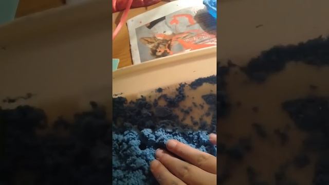 Кинетический песок обзор компании "TUKZAR" смотреть онлайн