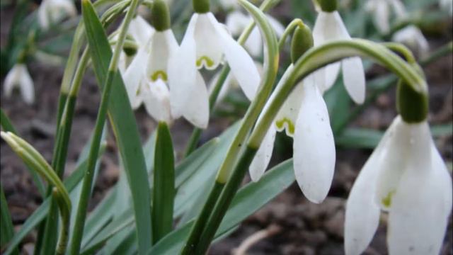 Я касаюсь Тебя 11.12.13 смотреть онлайн