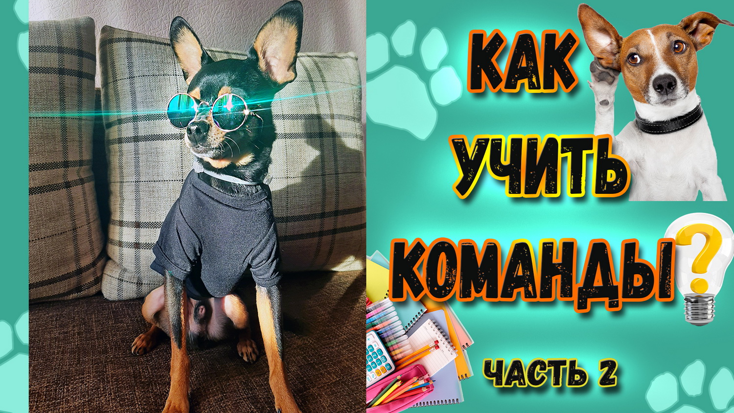 10 простых команд для начинающих и щенков или Как учить команды. Часть 2 смотреть онлайн