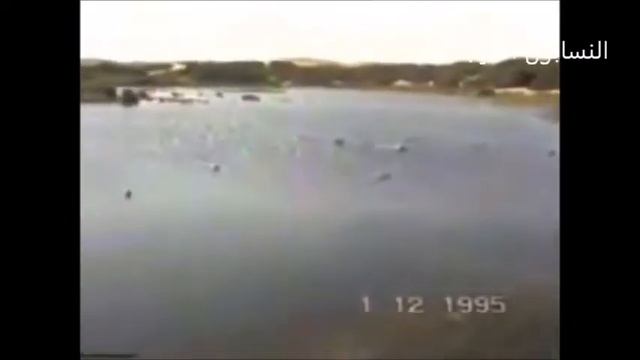 صيد البط في بحيرة الملك فاروق في دهشور في مصر смотреть онлайн