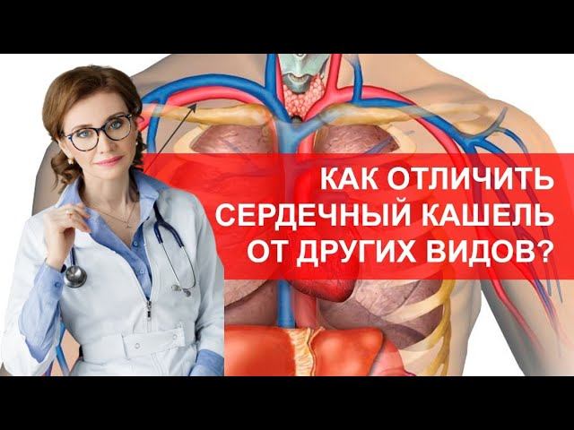 Сердечный кашель. Как отличить сердечный кашель от других видов? смотреть онлайн