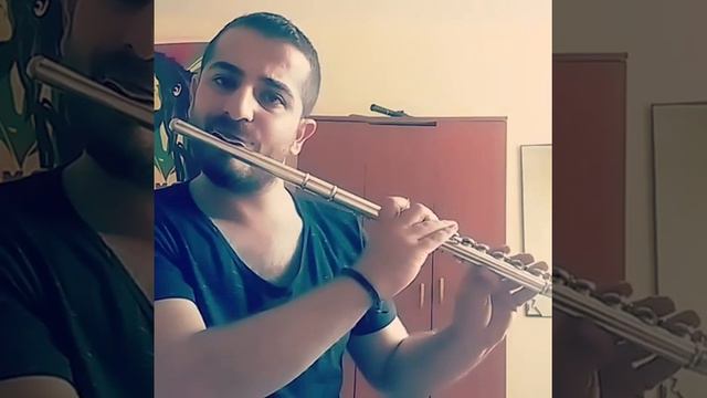 Arix - YanFlüt Cover смотреть онлайн