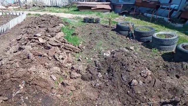 Коровы, телята, огород. Брусчатка и Ворота! смотреть онлайн