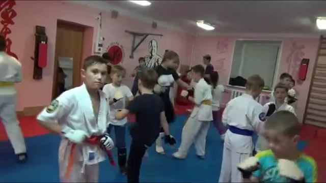 Климовская Федерация Киокусинкай Каратэ. Западная, 12. Тренировки сентябрь 2017 года смотреть онлайн