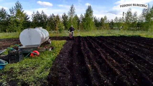 Посадка картофеля быстро, легко и в радость))) смотреть онлайн
