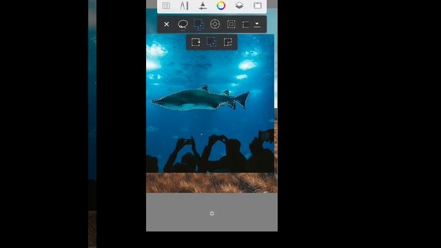 #1 The tortoise speet art |how to edit photo in autodest sketch and lightroom | by umar masih | смотреть онлайн