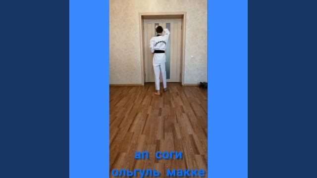 Тхэквондо. Передвижения в базовых стойках смотреть онлайн