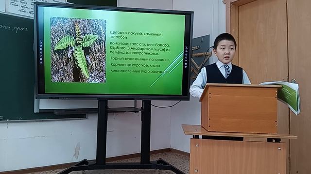 Игнатьев Айтал Павлович - Щитовник пахучий, как лекарственное растение смотреть онлайн