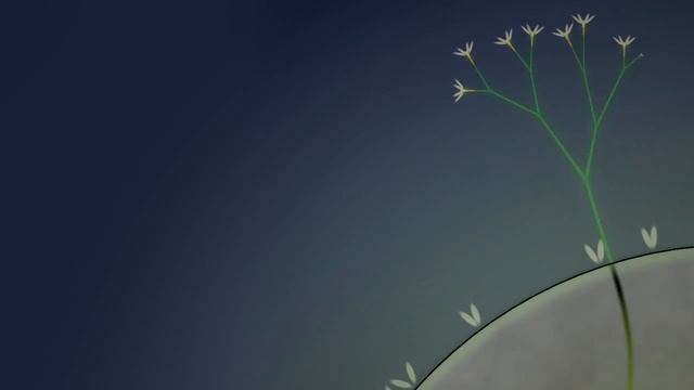 Eufloria — версия для PS Vita смотреть онлайн