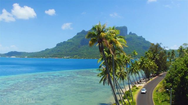 Paradise + Tropical House Mix - 4k Scenic Film With EDM Music смотреть онлайн