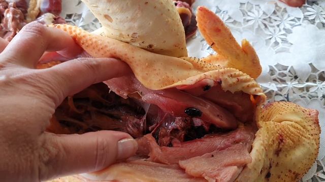 Мясо кур абсолютно разное ? Сравниваем: курица тушка, бройлер, петушок и несушка. смотреть онлайн