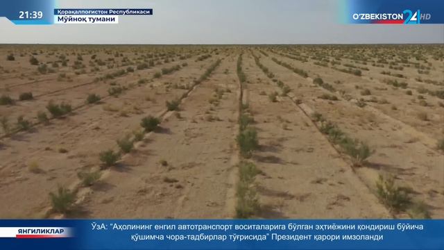 Орол денгизининг қуриган кенгликларида шакллантирилаётган ўрмон плантациялари смотреть онлайн
