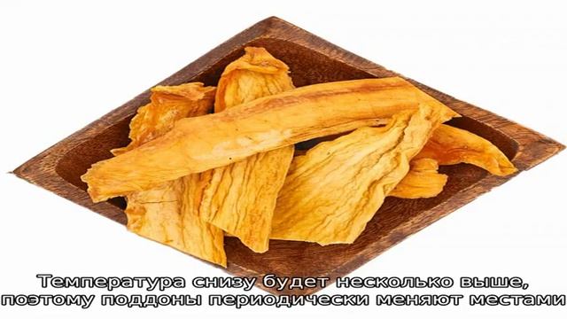 Рецепт приготовления сушеной дыни в домашних условиях смотреть онлайн