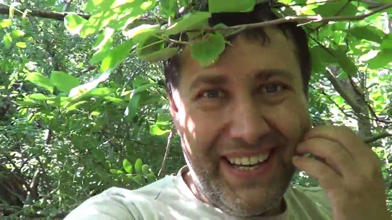 НЕ ВЫДЕРЖАЛ ЖАРУ / ПОКА НЕ ПОЗДНО / ЗАМЕНИЛ РАСШИРИТЕЛЬНЫЙ БАЧЁК ОТОПЛЕНИЯ / ДВА ВОПРОСА смотреть онлайн