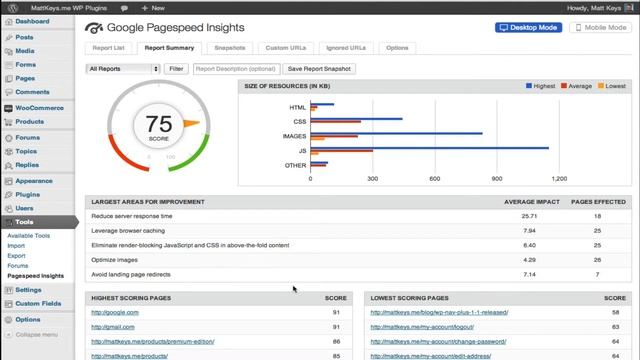 Google Pagespeed Insights for Wordpress: Report Summaries смотреть онлайн