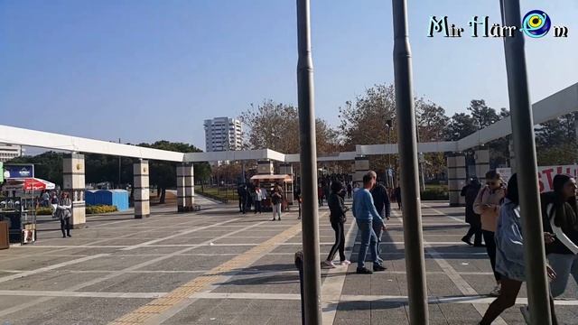 Сбились с ног в поисках полувекового кафе. С чайками на прогулку, забавные хвостики Измир Турция смотреть онлайн