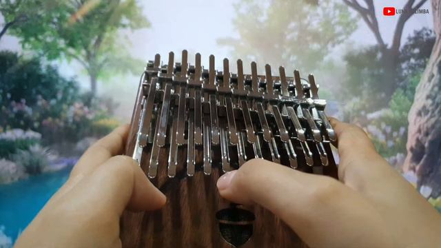 The Promise - Secret Garden | SEEDS 24K kalimba cover смотреть онлайн