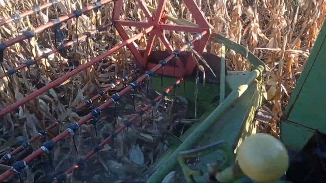 Косим кукурузу мини комбайном CLAAS 2021 смотреть онлайн