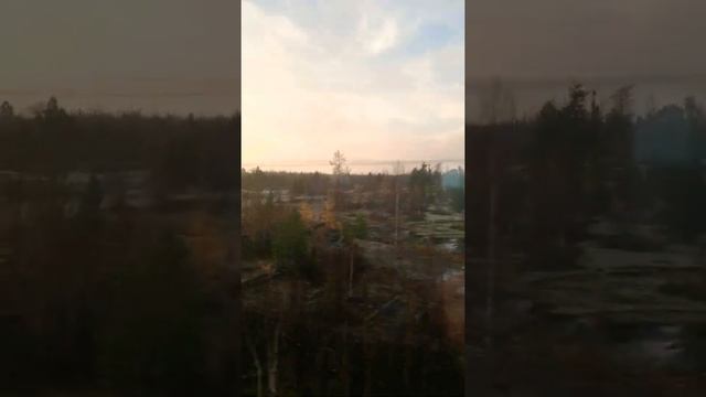 Дорога Новый Уренгой - Пурпе. Север. Вахта. Красота. смотреть онлайн