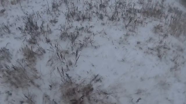 Яркие моменты заячьих охот 2014-2015 гг..mp4 смотреть онлайн