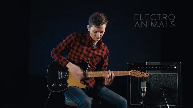 Electro Animals Tele Clean Cockatoo Pickup Set смотреть онлайн