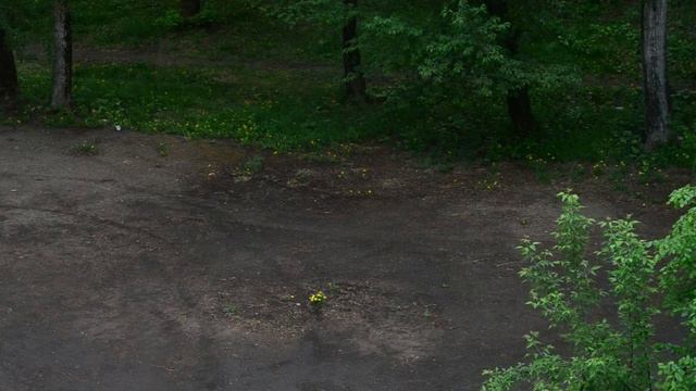 Сегодня пасмурно Давно пасмурно не было смотреть онлайн