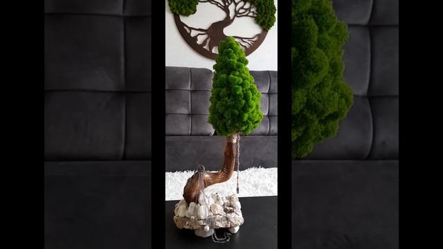 Дерево из мха #handmade #ручнаяработа #декор #дерево #хендмейд #идеи #поделки #подпишись #деньидей смотреть онлайн
